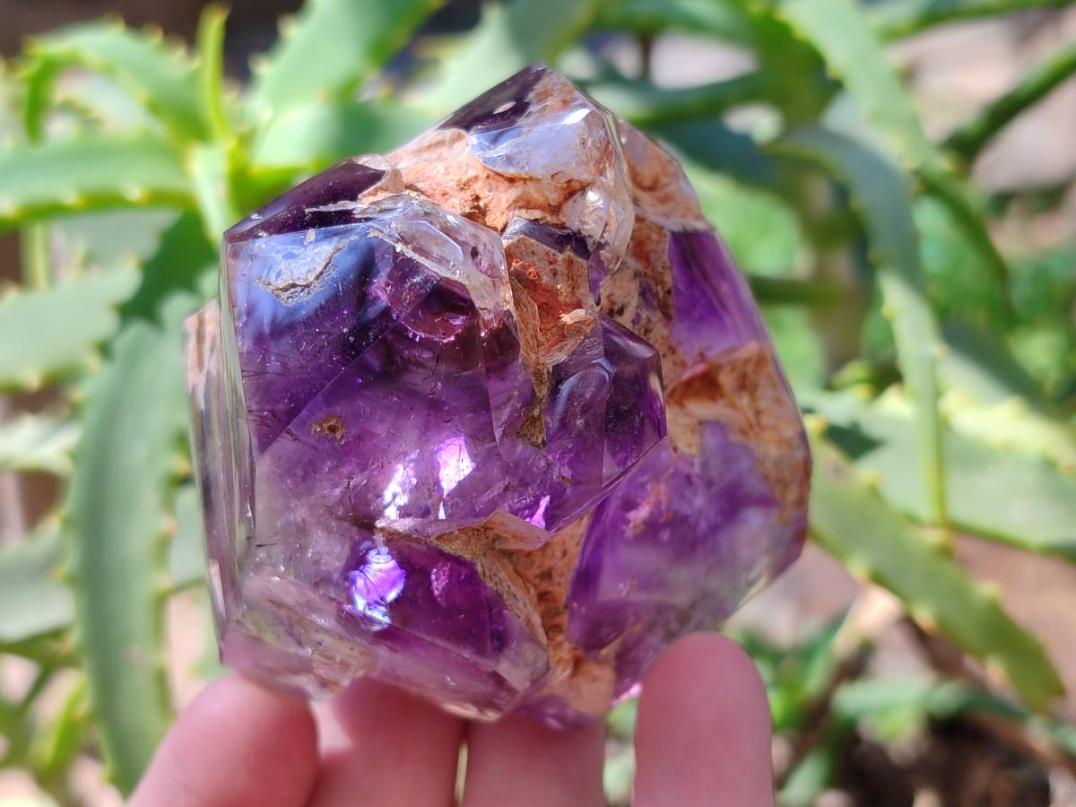Polished Window Amethyst Crystals x 3 From Madagascar - Toprock Gemstones and Minerals 