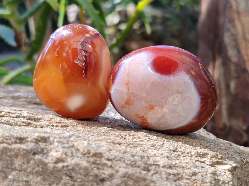 Polished Carnelian Agate Palm Stones x 14 From Madagascar - Toprock Gemstones and Minerals 