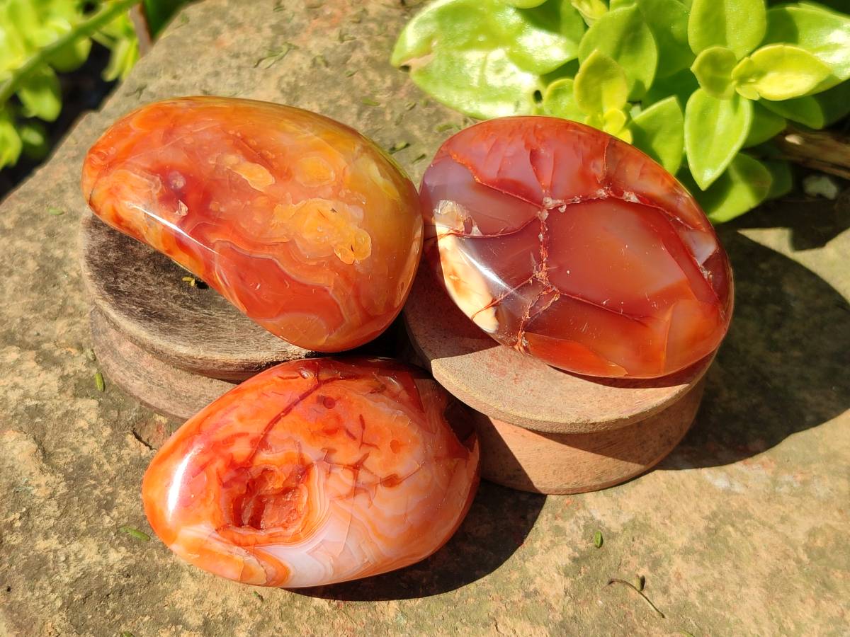 Polished Carnelian Agate Palm Stones x 14 From Madagascar - Toprock Gemstones and Minerals 