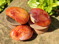 Polished Carnelian Agate Palm Stones x 14 From Madagascar