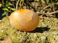 Polished Carnelian Agate Palm Stones x 14 From Madagascar