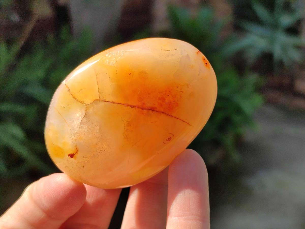 Polished Carnelian Agate Palm Stones x 14 From Madagascar - Toprock Gemstones and Minerals 