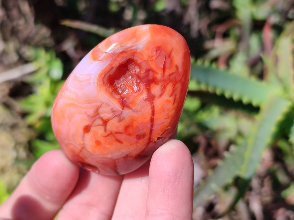 Polished Carnelian Agate Palm Stones x 14 From Madagascar - Toprock Gemstones and Minerals 