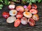 Polished Carnelian Agate Palm Stones x 14 From Madagascar - Toprock Gemstones and Minerals 