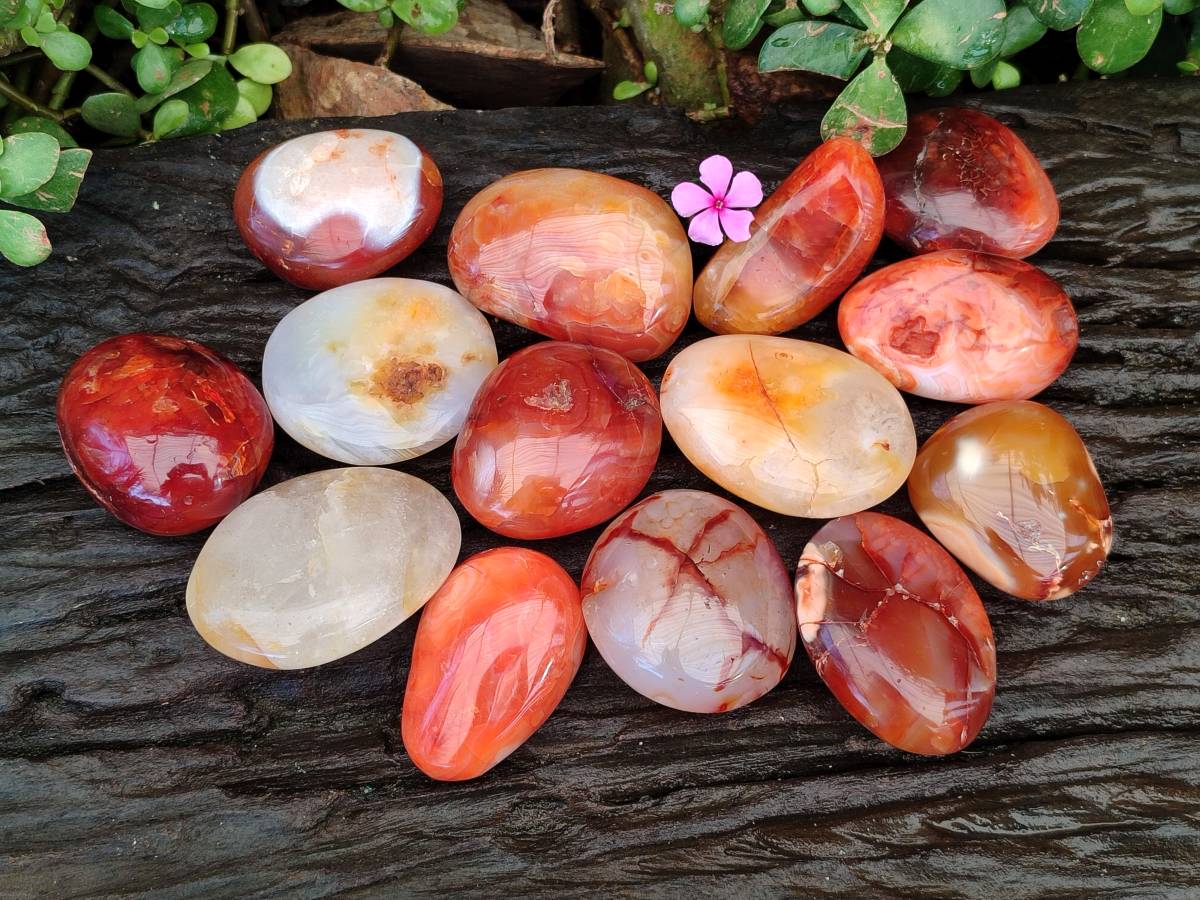 Polished Carnelian Agate Palm Stones x 14 From Madagascar - Toprock Gemstones and Minerals 