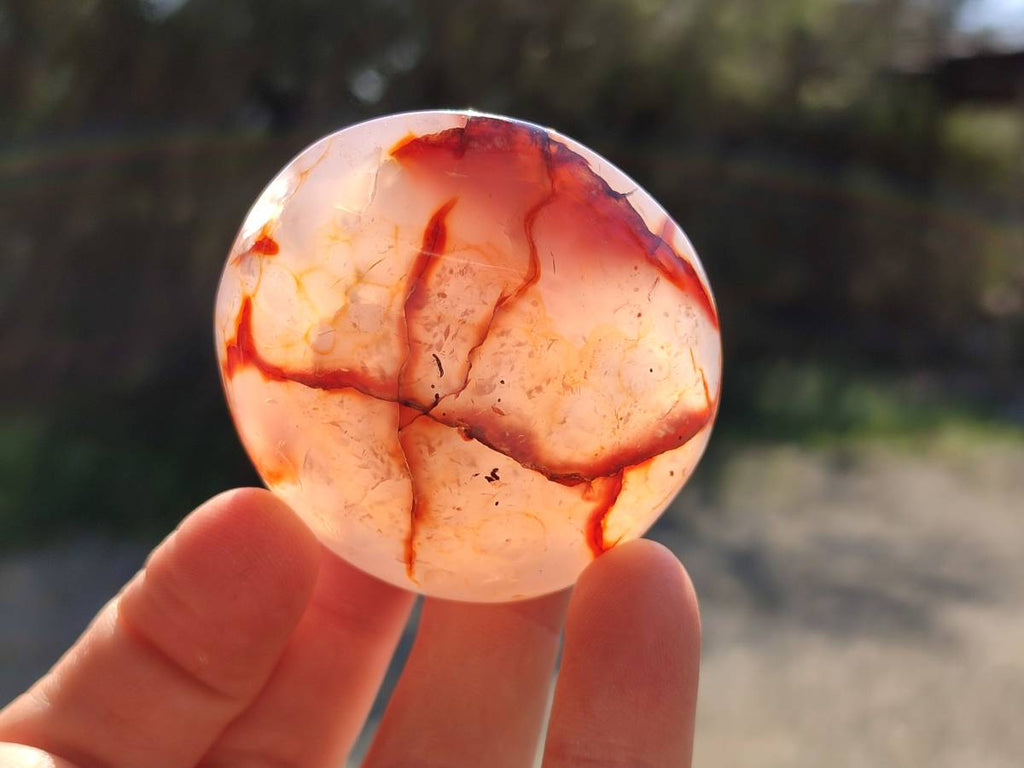 Polished Carnelian Agate Palm Stones x 14 From Madagascar - Toprock Gemstones and Minerals 