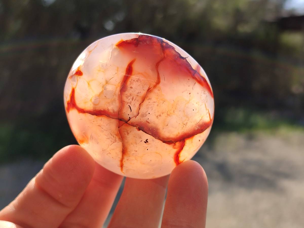 Polished Carnelian Agate Palm Stones x 14 From Madagascar - Toprock Gemstones and Minerals 