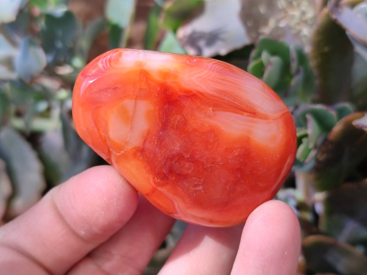 Polished Carnelian Agate Palm Stones x 14 From Madagascar - Toprock Gemstones and Minerals 
