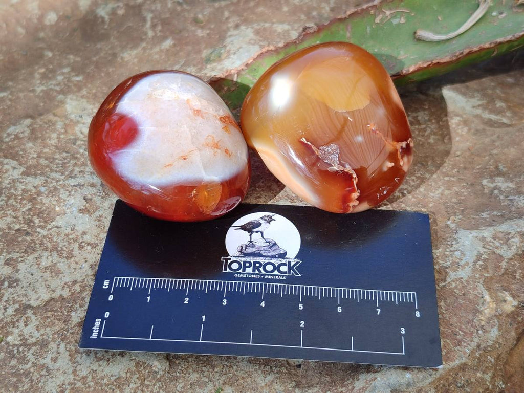 Polished Carnelian Agate Palm Stones x 14 From Madagascar - Toprock Gemstones and Minerals 