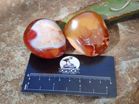 Polished Carnelian Agate Palm Stones x 14 From Madagascar