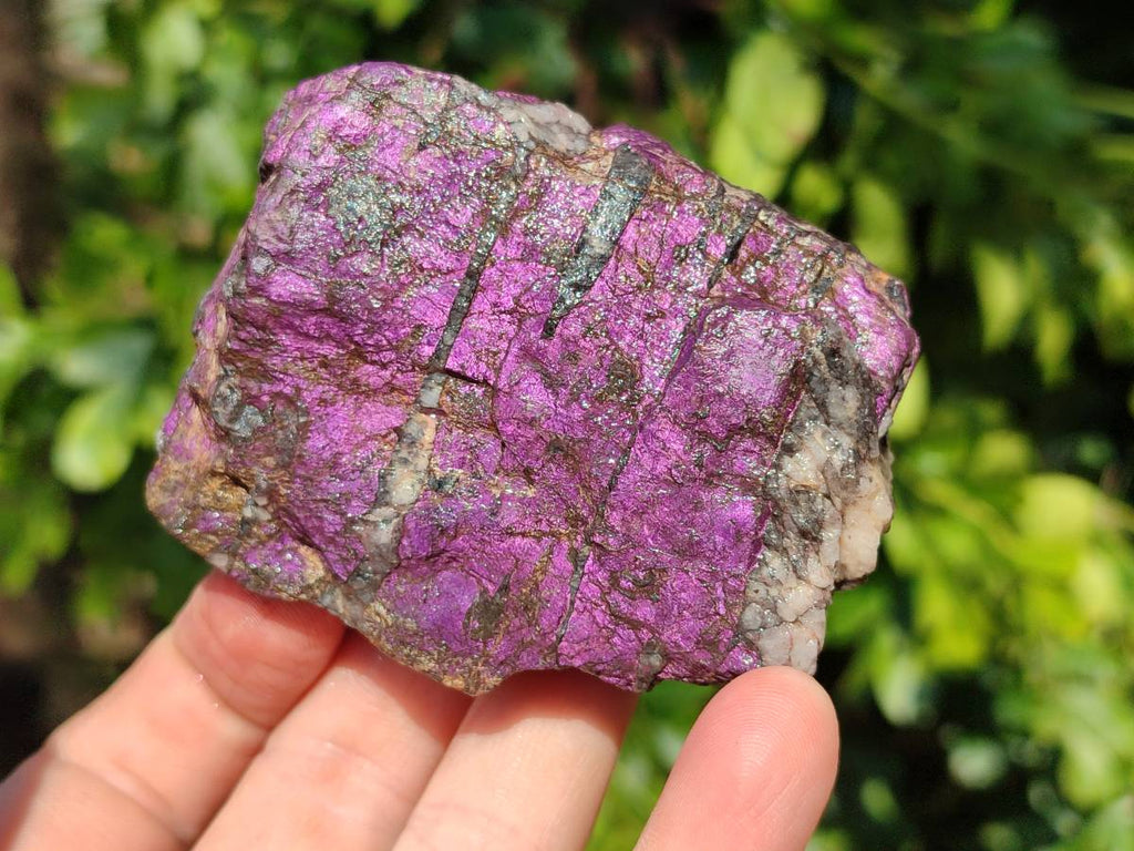 Natural Metallic Purpurite Specimens x 6 From Erongo, Namibia - Toprock Gemstones and Minerals 