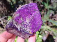 Natural Metallic Purpurite Specimens x 6 From Erongo, Namibia - Toprock Gemstones and Minerals 