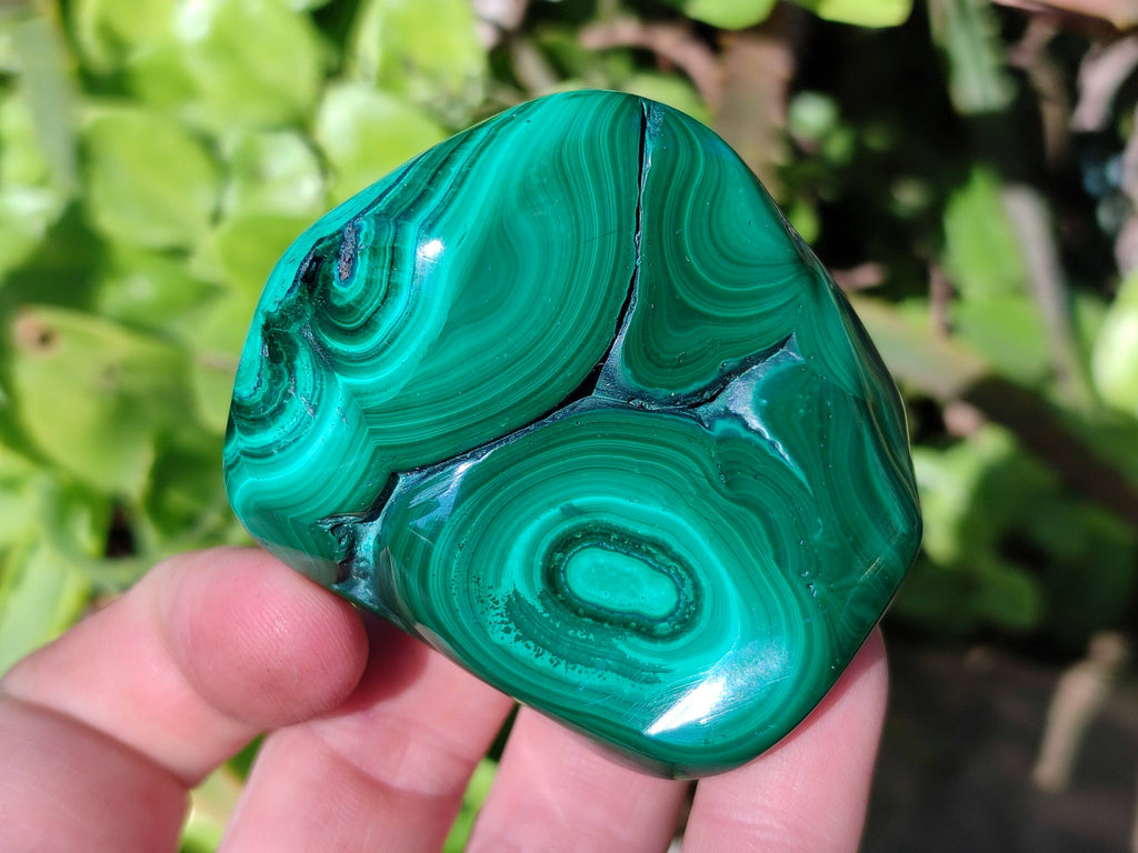 Polished Flower Banded Malachite Free Forms x 6 From Congo - Toprock Gemstones and Minerals 