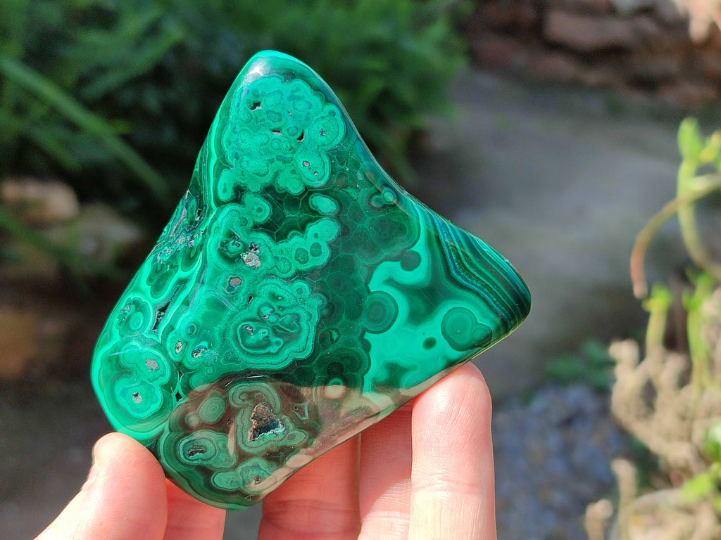 Polished Flower Banded Malachite Free Forms x 6 From Congo - Toprock Gemstones and Minerals 