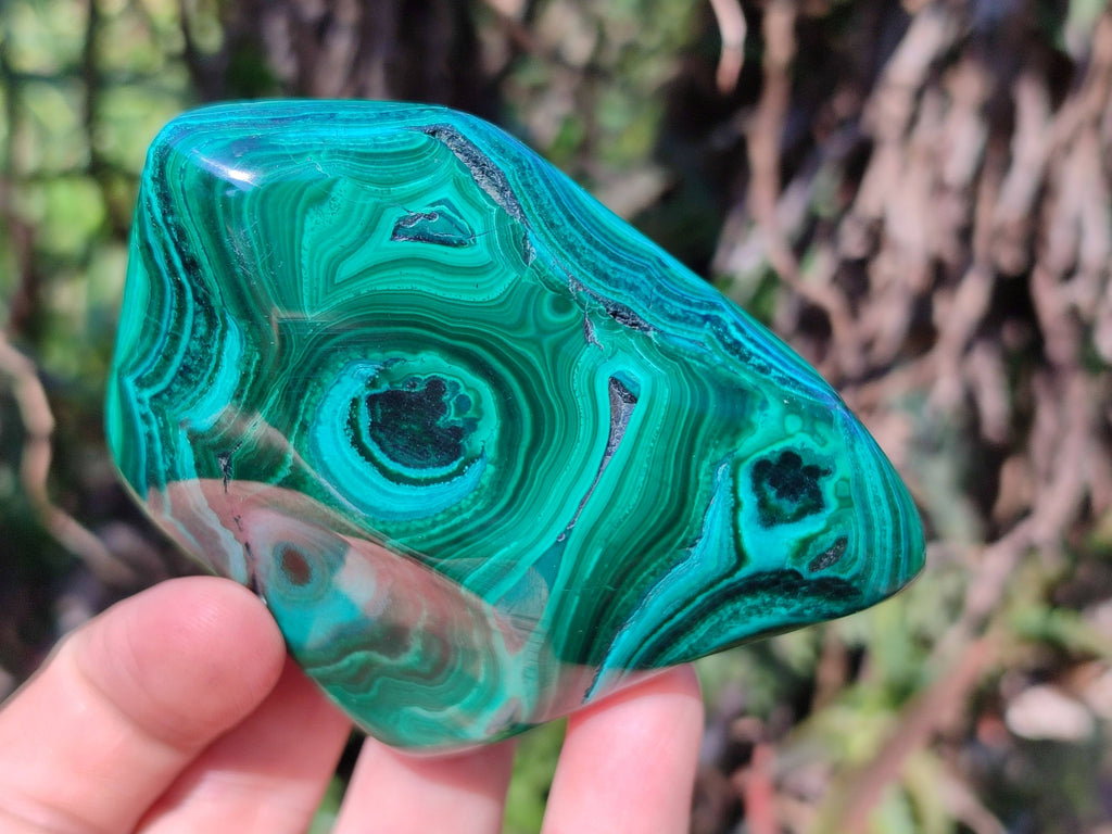 Polished Flower Banded Malachite Free Forms x 6 From Congo - Toprock Gemstones and Minerals 