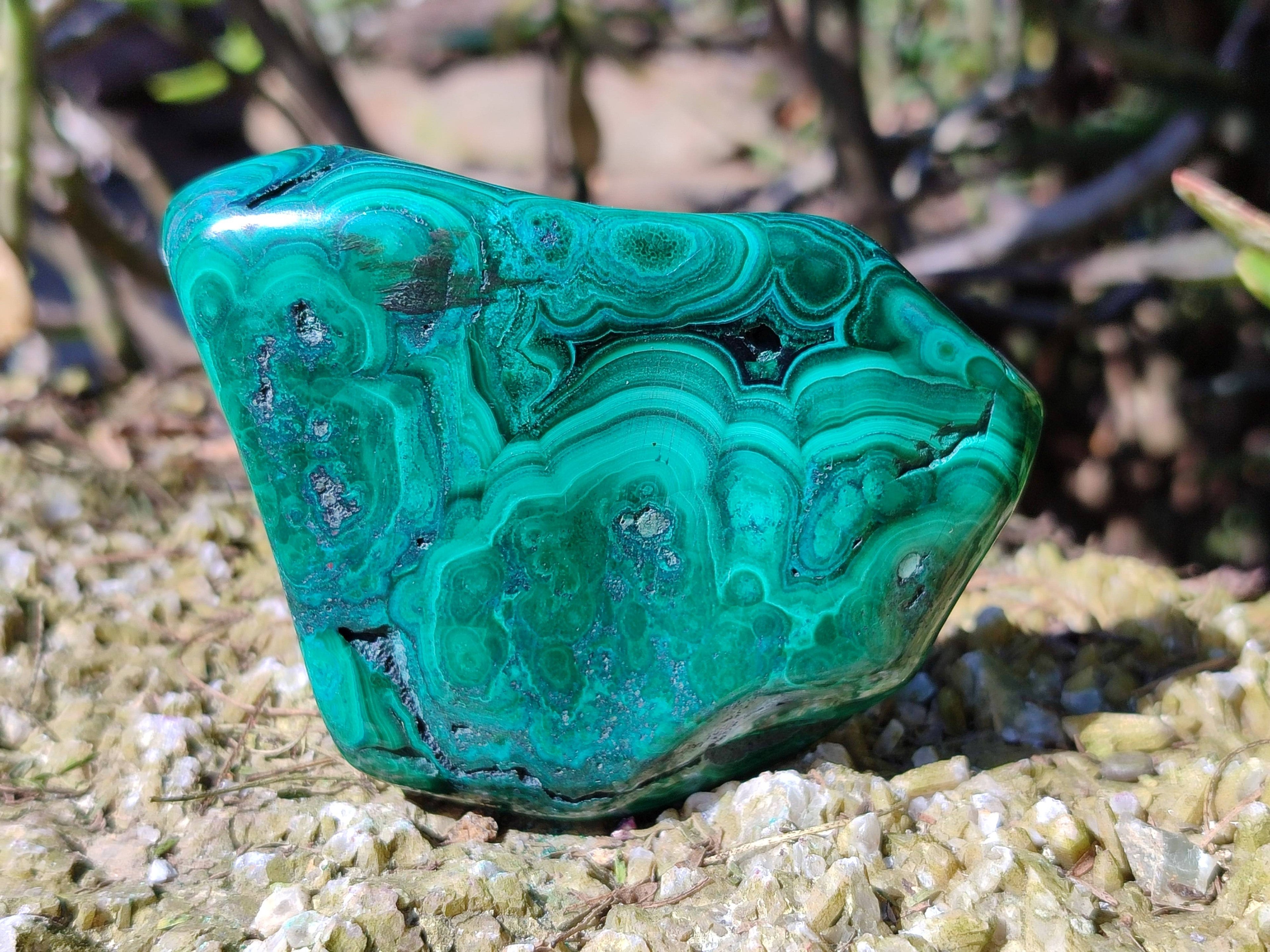 Polished Flower Banded Malachite Free Forms x 6 From Congo - Toprock Gemstones and Minerals 
