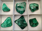 Polished Flower Banded Malachite Free Forms x 6 From Congo - Toprock Gemstones and Minerals 
