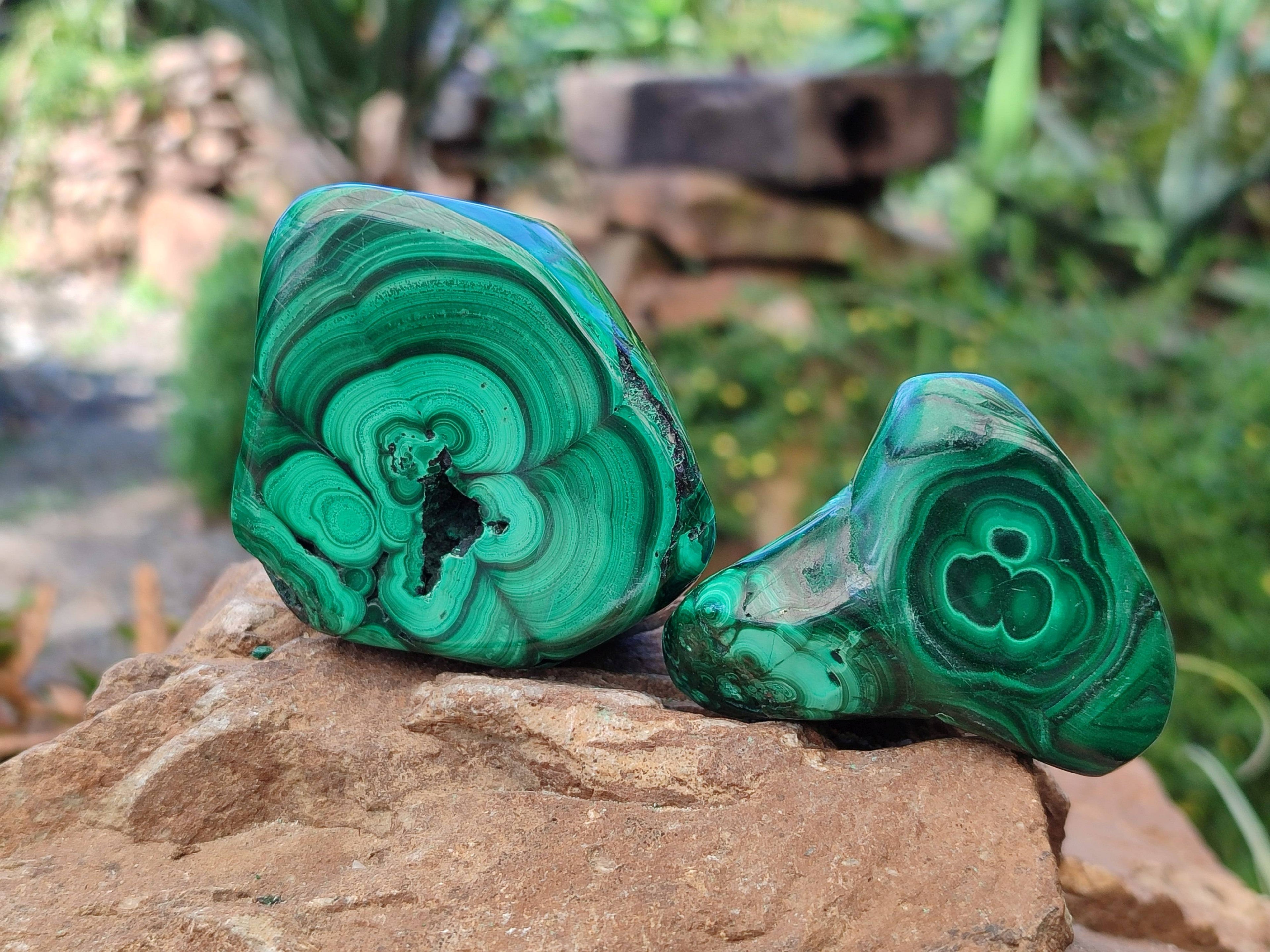Polished Flower Banded Malachite Free Forms x 6 From Congo - Toprock Gemstones and Minerals 