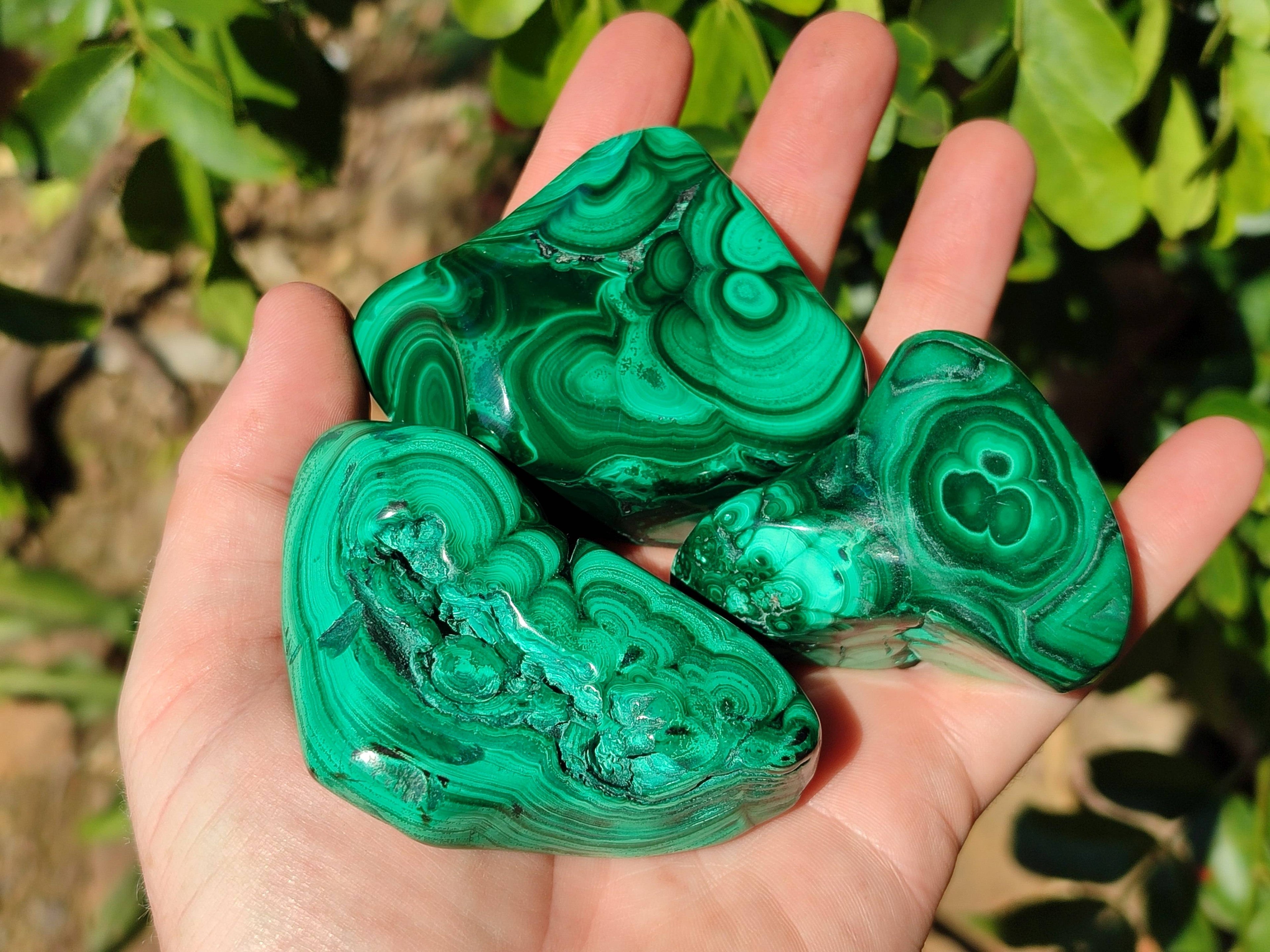 Polished Flower Banded Malachite Free Forms x 6 From Congo - Toprock Gemstones and Minerals 