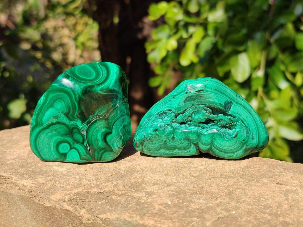 Polished Flower Banded Malachite Free Forms x 6 From Congo - Toprock Gemstones and Minerals 