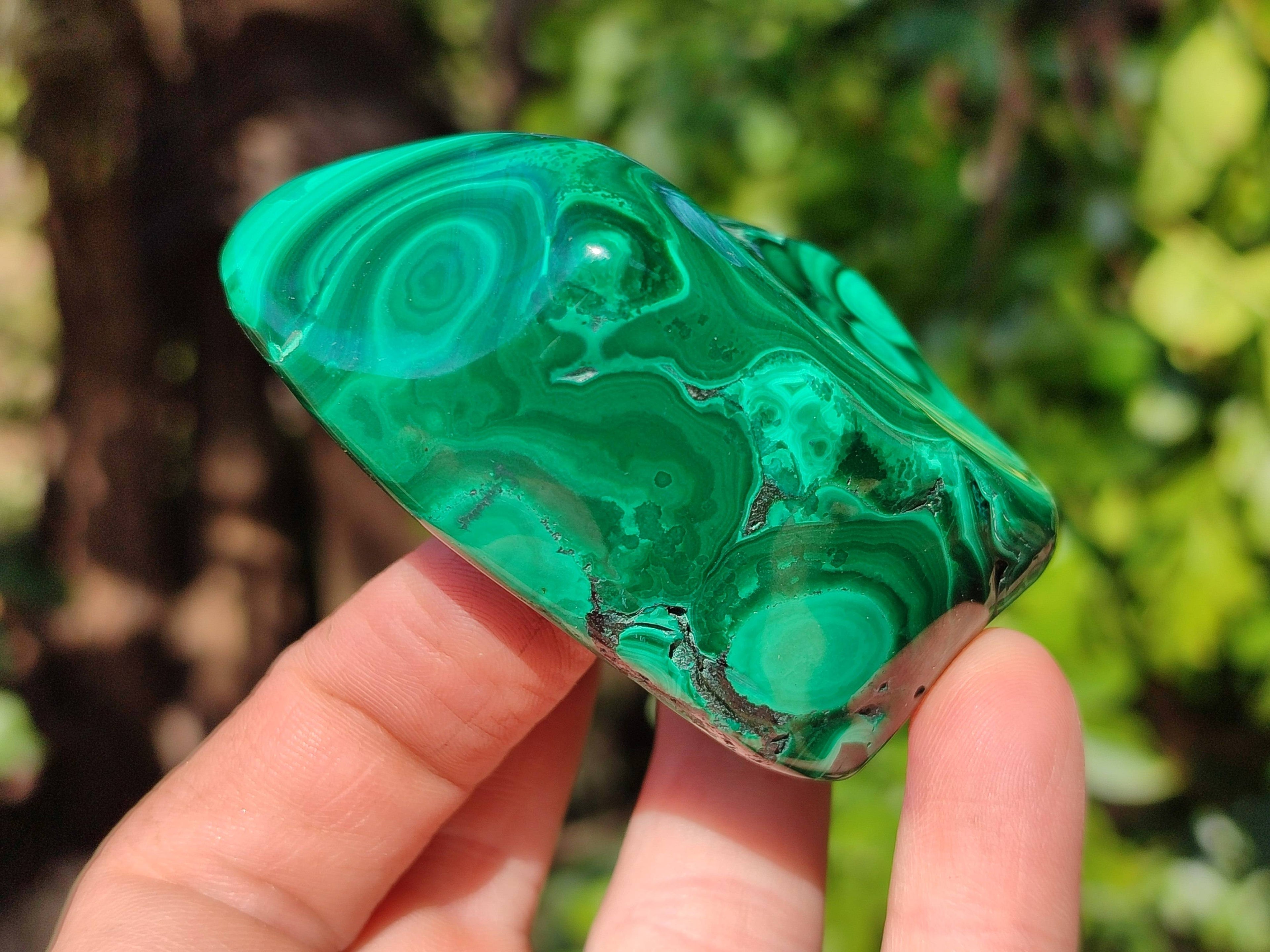 Polished Flower Banded Malachite Free Forms x 6 From Congo - Toprock Gemstones and Minerals 