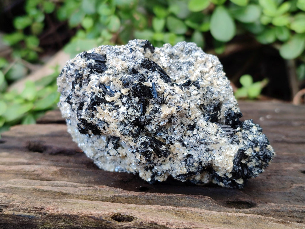 Natural Schorl Black Tourmaline Specimens x 6 From Erongo, Namibia - Toprock Gemstones and Minerals 