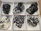 Natural Schorl Black Tourmaline Specimens x 6 From Erongo, Namibia - Toprock Gemstones and Minerals 