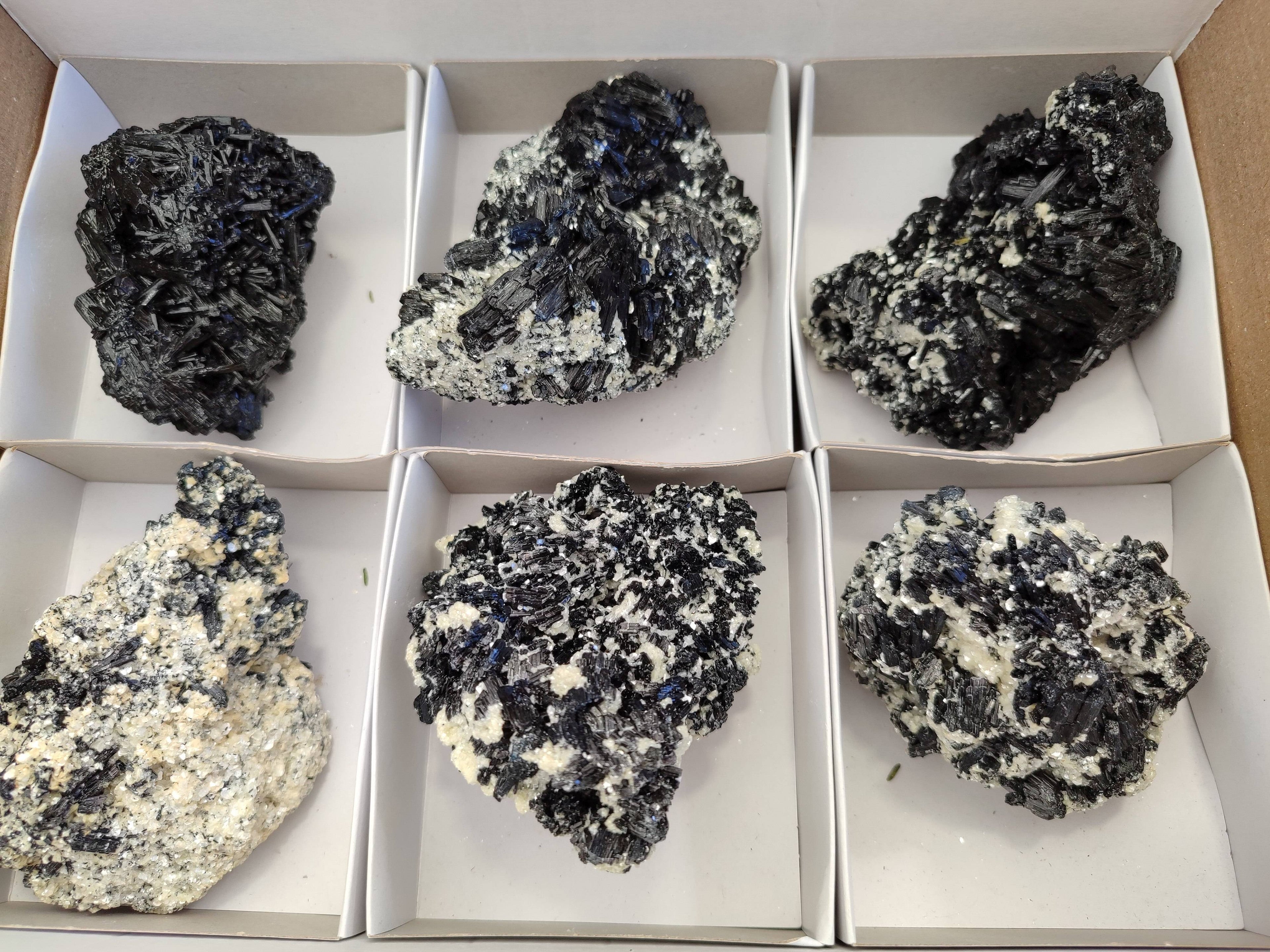 Natural Schorl Black Tourmaline Specimens x 6 From Erongo, Namibia - Toprock Gemstones and Minerals 