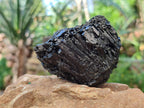 Natural Schorl Black Tourmaline Specimens x 6 From Erongo, Namibia - Toprock Gemstones and Minerals 