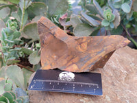 Natural Nguni Jasper Cobbed Specimens x 12 From Prieska, South Africa