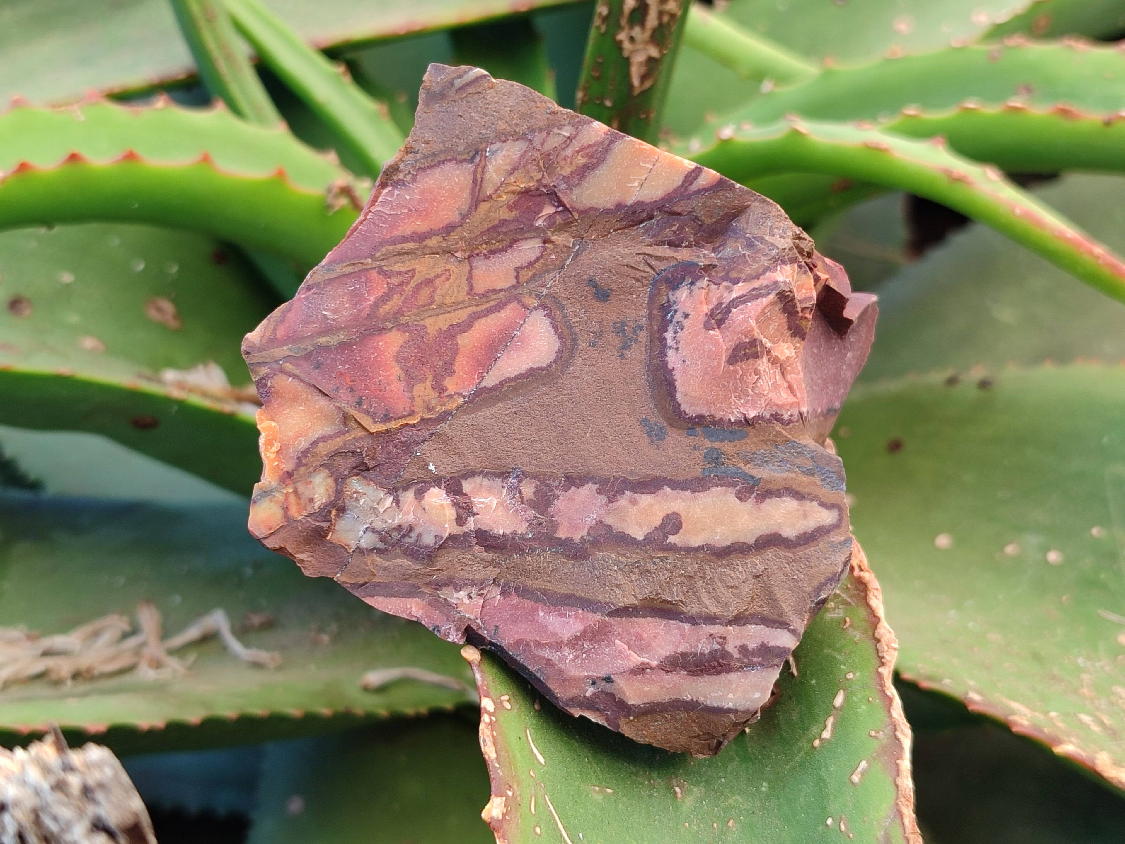 Natural Nguni Jasper Cobbed Specimens x 12 From Prieska, South Africa - Toprock Gemstones and Minerals 