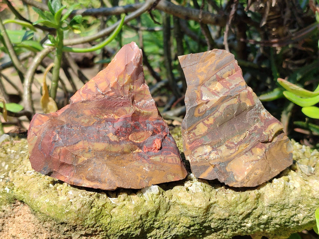 Natural Nguni Jasper Cobbed Specimens x 12 From Prieska, South Africa - Toprock Gemstones and Minerals 