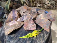 Natural Nguni Jasper Cobbed Specimens x 12 From Prieska, South Africa