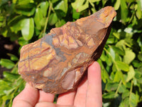 Natural Nguni Jasper Cobbed Specimens x 12 From Prieska, South Africa