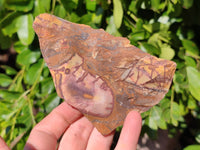 Natural Nguni Jasper Cobbed Specimens x 12 From Prieska, South Africa