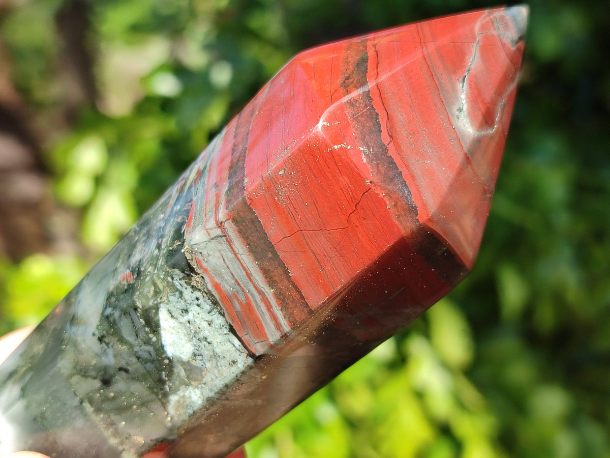 Polished Double Terminated Bloodstone Points x 6 From Swaziland - Toprock Gemstones and Minerals 