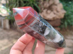 Polished Double Terminated Bloodstone Points x 6 From Swaziland - Toprock Gemstones and Minerals 