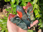 Polished Double Terminated Bloodstone Points x 6 From Swaziland - Toprock Gemstones and Minerals 