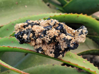 Natural Schorl Black Tourmaline Specimens x 3 From Erongo, Namibia - Toprock Gemstones and Minerals 