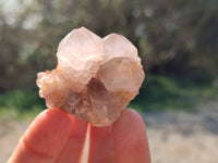Natural Mixture Of Spirit Quartz Clusters x 20 From Boekenhouthoek, South Africa