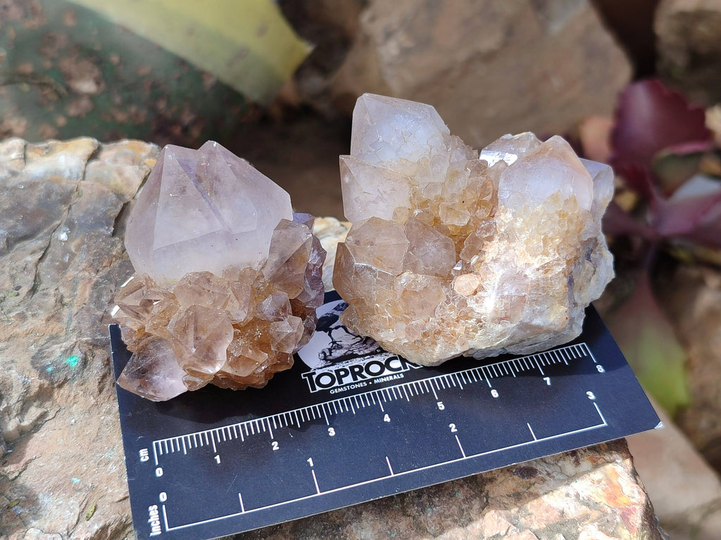Natural Mixture Of Spirit Quartz Clusters x 20 From Boekenhouthoek, South Africa - Toprock Gemstones and Minerals 