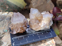 Natural Mixture Of Spirit Quartz Clusters x 20 From Boekenhouthoek, South Africa