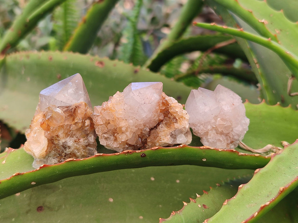 Natural Mixture Of Spirit Quartz Clusters x 20 From Boekenhouthoek, South Africa - Toprock Gemstones and Minerals 