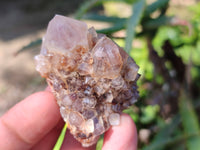 Natural Mixture Of Spirit Quartz Clusters x 20 From Boekenhouthoek, South Africa