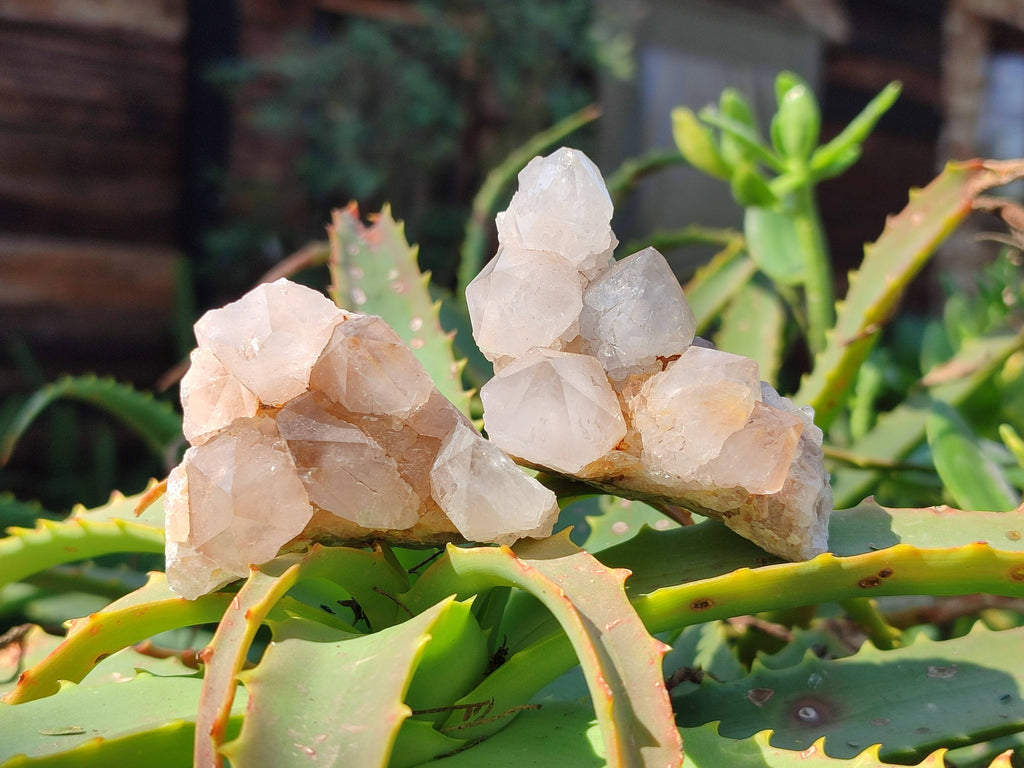 Natural Mixture Of Spirit Quartz Clusters x 20 From Boekenhouthoek, South Africa - Toprock Gemstones and Minerals 