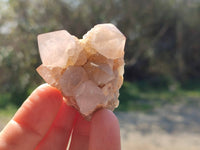 Natural Mixture Of Spirit Quartz Clusters x 20 From Boekenhouthoek, South Africa