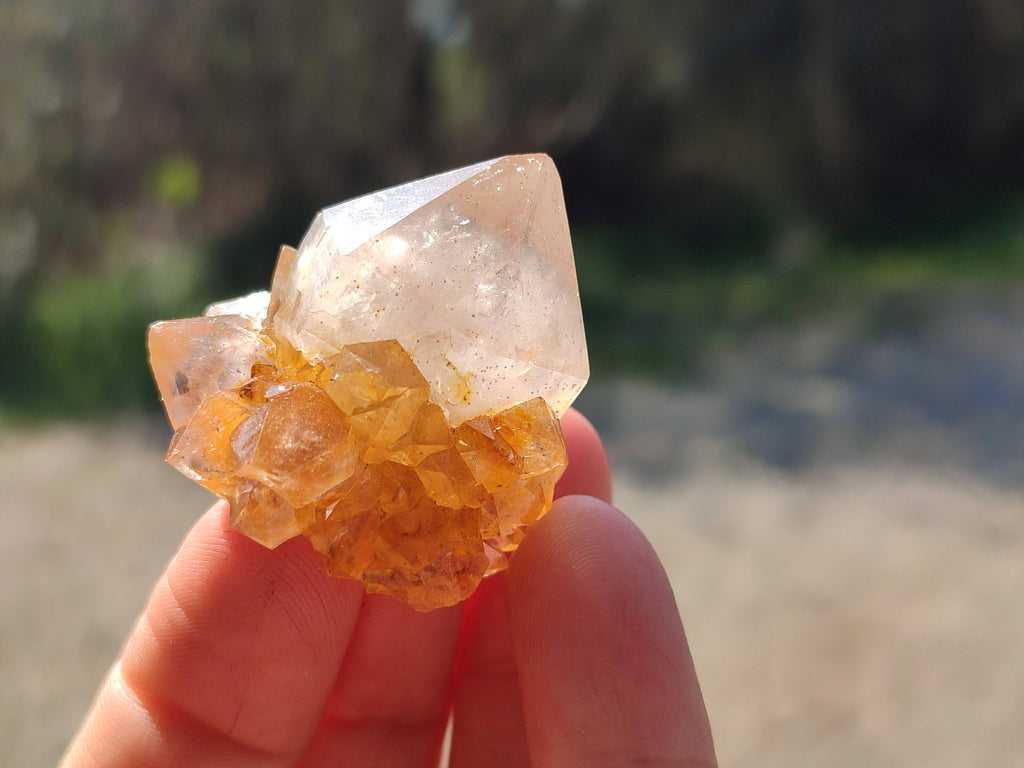 Natural Mixture Of Spirit Quartz Clusters x 20 From Boekenhouthoek, South Africa - Toprock Gemstones and Minerals 