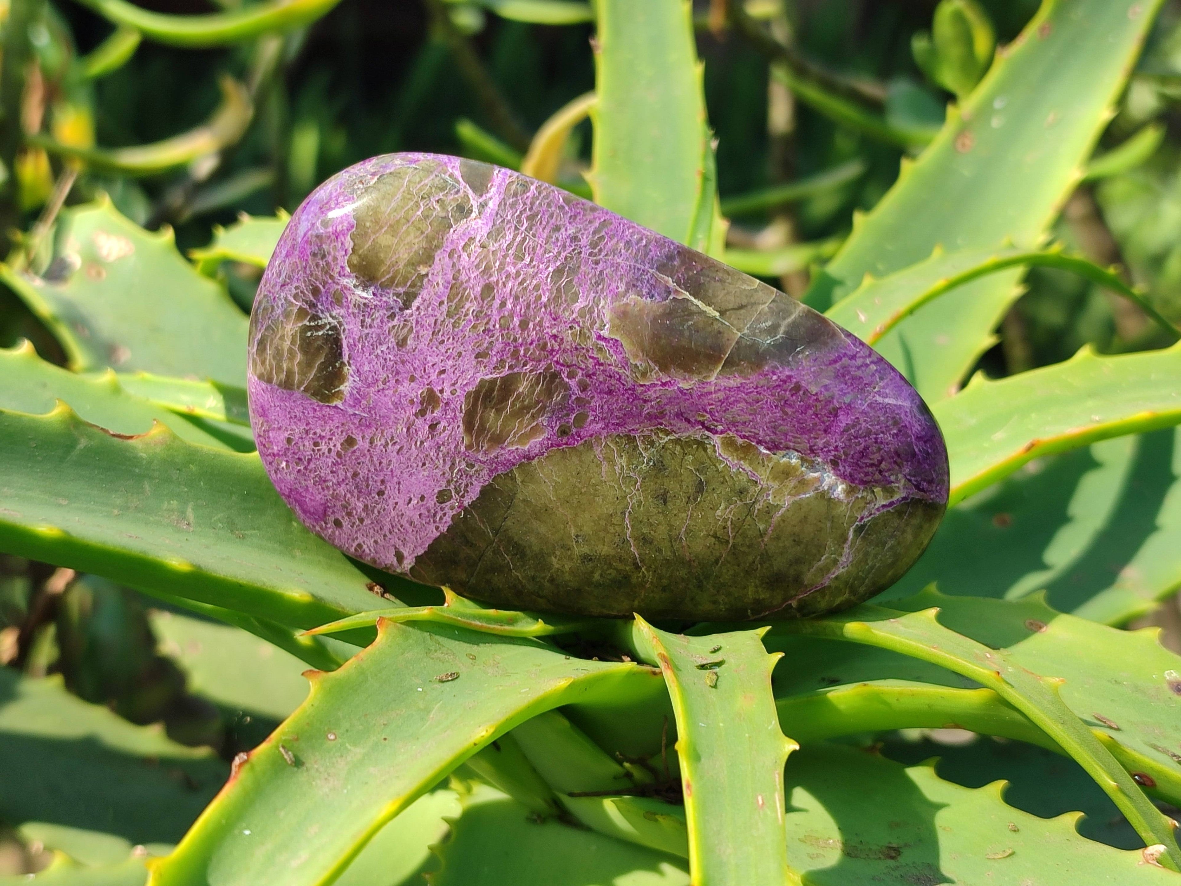 Polished Stichtite Free Forms x 6 From Barberton, South Africa - Toprock Gemstones and Minerals 