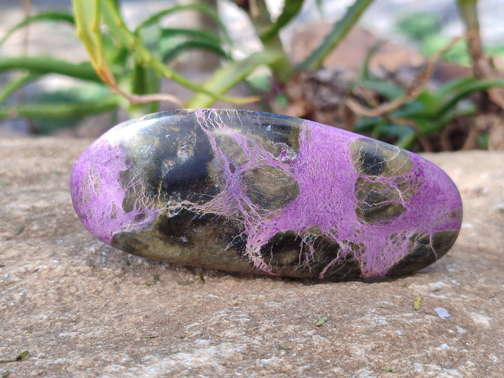 Polished Stichtite Free Forms x 6 From Barberton, South Africa - Toprock Gemstones and Minerals 