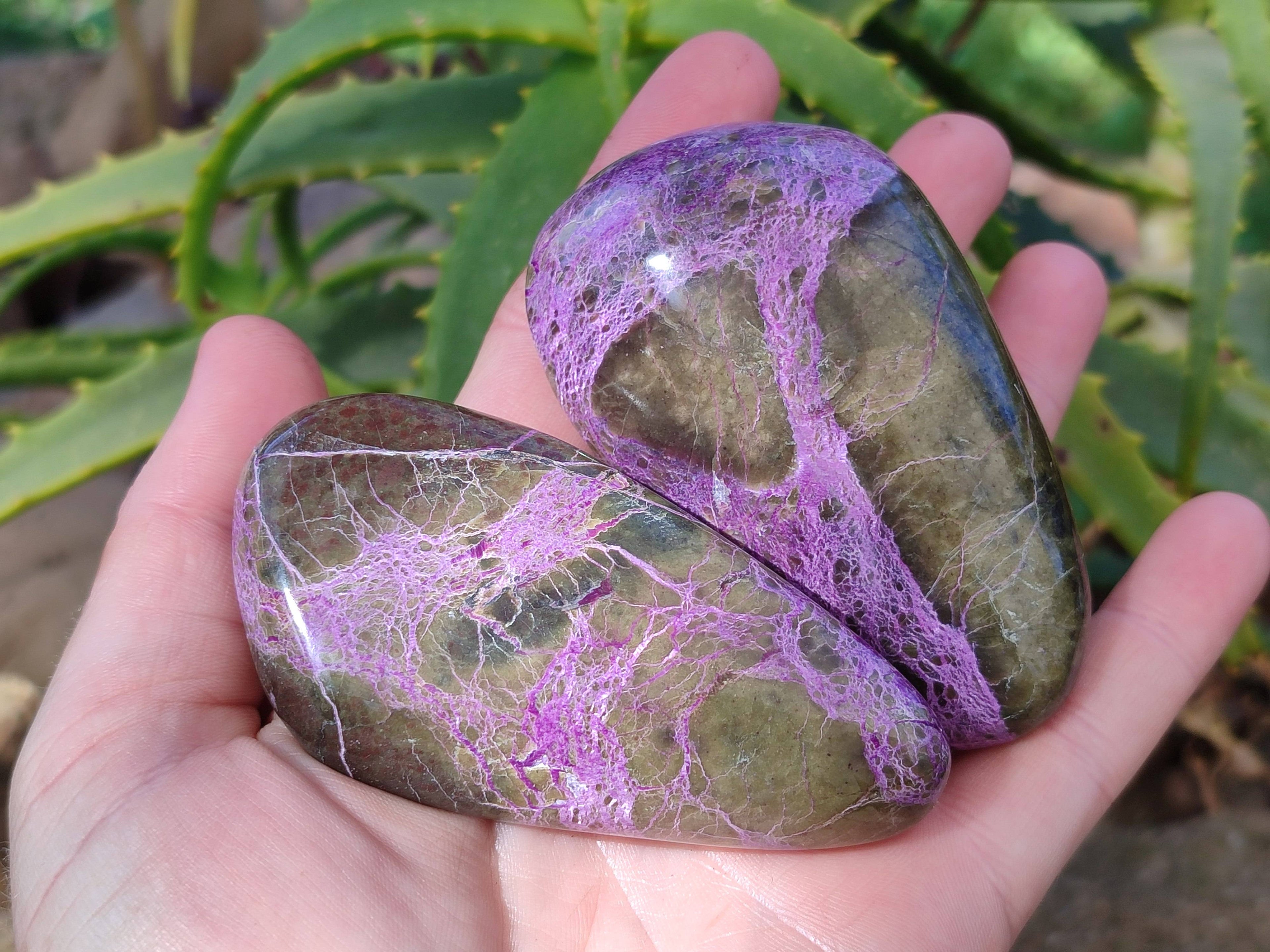Polished Stichtite Free Forms x 6 From Barberton, South Africa - Toprock Gemstones and Minerals 